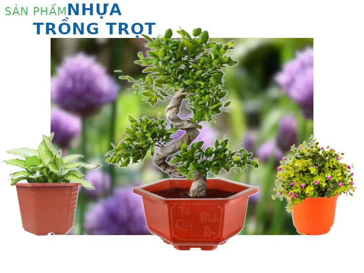 nhựa trồng trọt