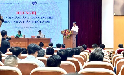 Ông Lê Vĩnh Sơn - Chủ tịch HAMI phát biểu ý kiến tại hội nghị kết nối ngân hàng - doanh nghiệp trên địa bàn thành phố Hà Nội